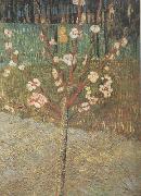 Vincent Van Gogh Almond Tree in Blossom (nn04) Spain oil painting reproduction